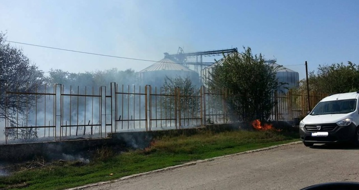 Треви пламнаха между стадион и зърнена база в Суворово!
