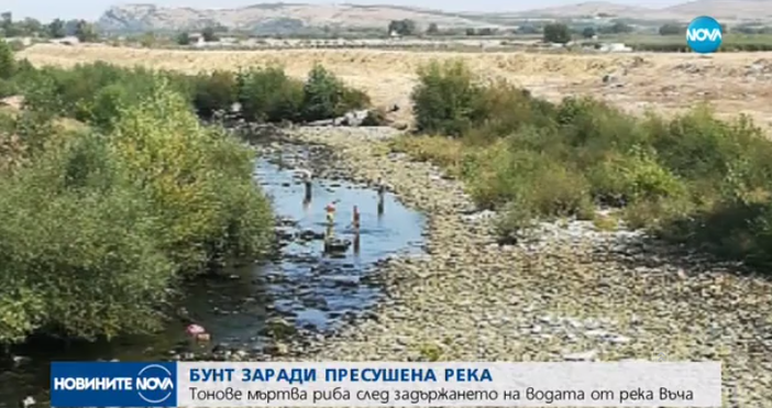 Кадър и видео Нова твПротест в Кричим Рибари и природозащитници