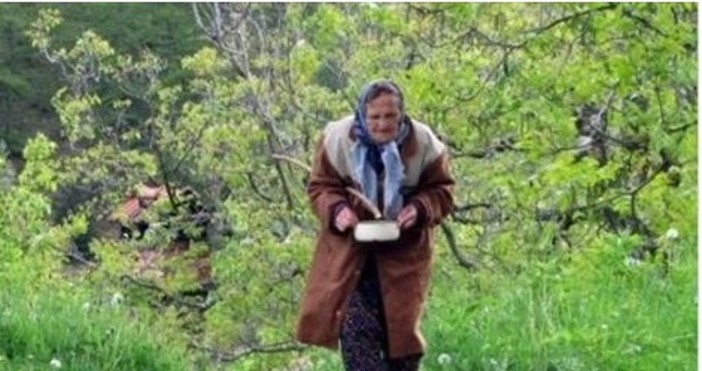 Една трогателна житейска история на един от хилядите български пенсионери