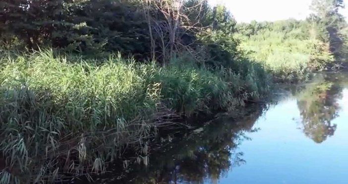 Снимка YouTubeСлед публикация във Facebook от 25 09 2017 г