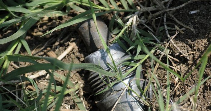 Снимка БулфотоНа 5 октомври в 11 40 ч 40 годишен