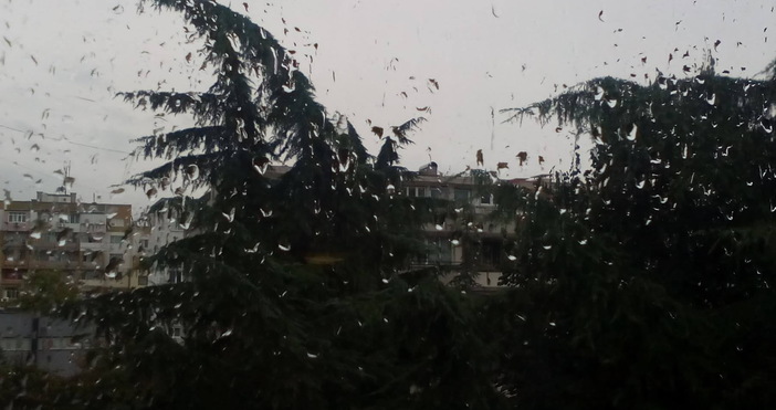 Снимки Петел Прогнозата на синоптиците за мрачния и дъждовен уикенд