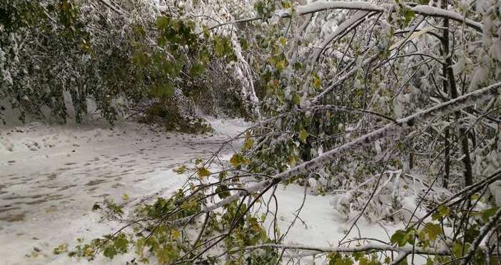 Тази година зимата ни изненада и дойде неочаквано още през