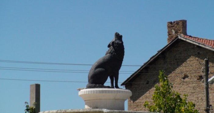 47 от имащите право на вот във Вълчи дол вече