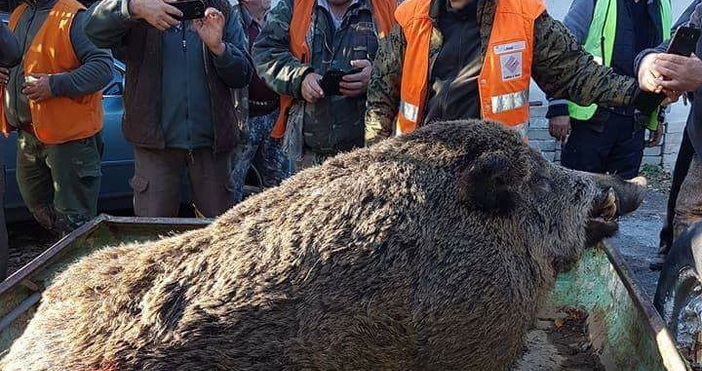 Със сериозен улов се похвали ловната дружина от Церово, област Пазарджик.Те са