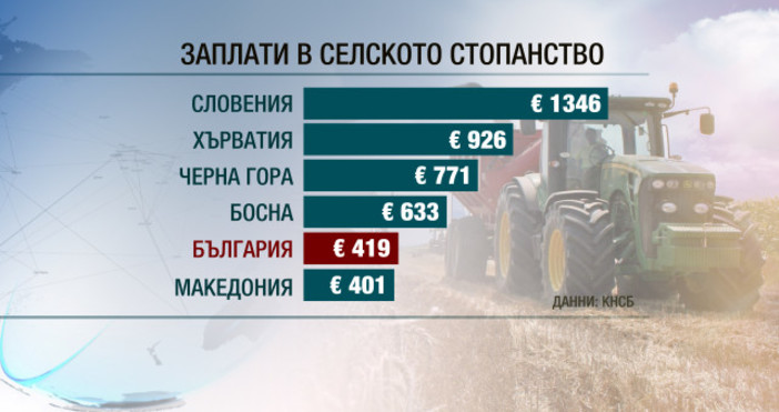 Българският земеделски работник е сред най-бедните в Европа. Единствено в