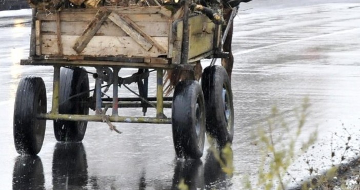 Илюстрация БулфотоОбщинарите в София обмислят забрана на каруците в града