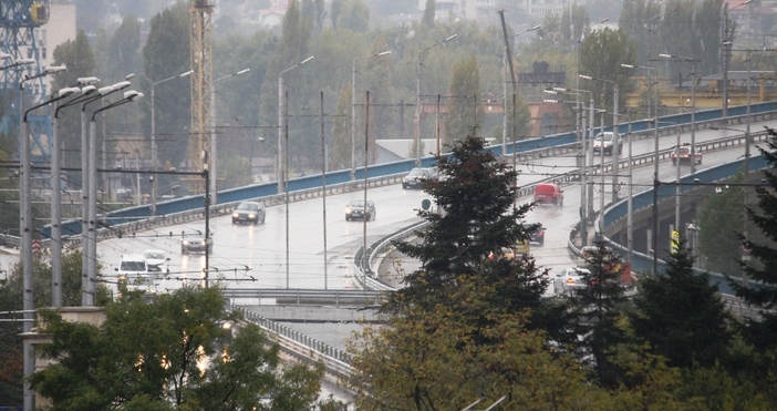 снимка Петел Дъждът който вали днес във Варна отложи промяната
