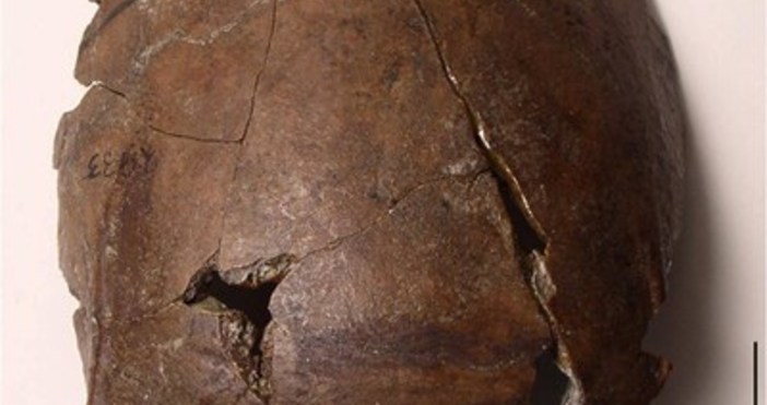 Загадъчни черепни останки, открити в Папуа-Нова Гвинея през 1929 г.,