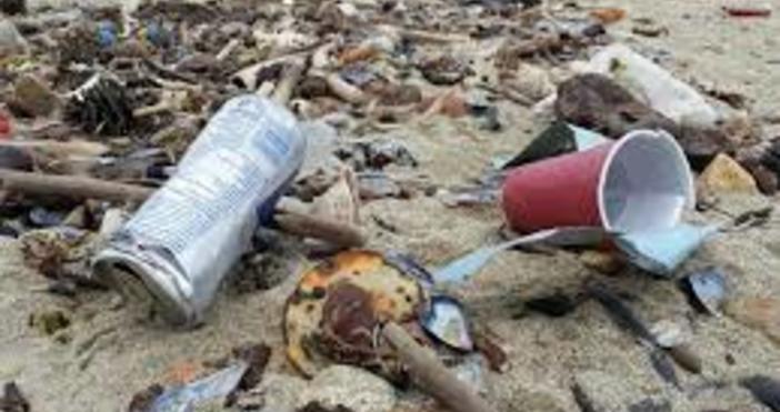 Поредна инициатива за почистване на плажа в района на хижа