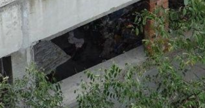 Трупът който бе открит днес край изоставения строеж на ъгъла