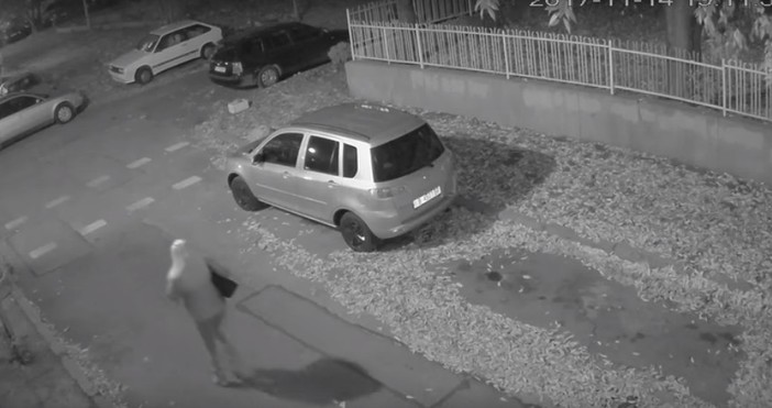 Едно видео и снимка, как крадат се крадат цветя пред блок
