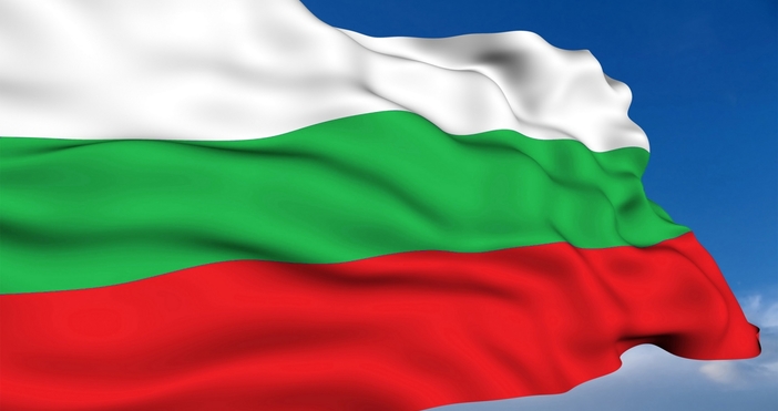През миналата година най-много молби за установяване в България са