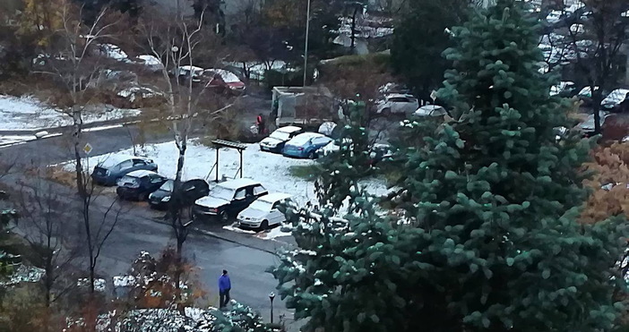 Снимка Петел В София във връзка с валежите от сняг са