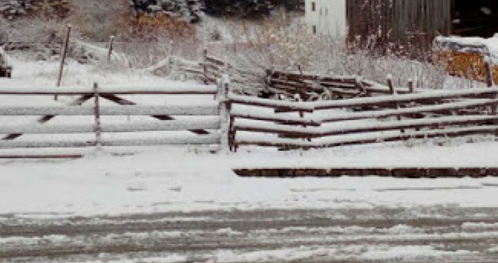 Сняг натрупа в Родопите в началото на новата седмица. От