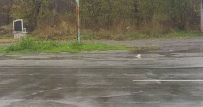 Бащата на 16 годишното момче което бе прегазено на пешеходната пътека