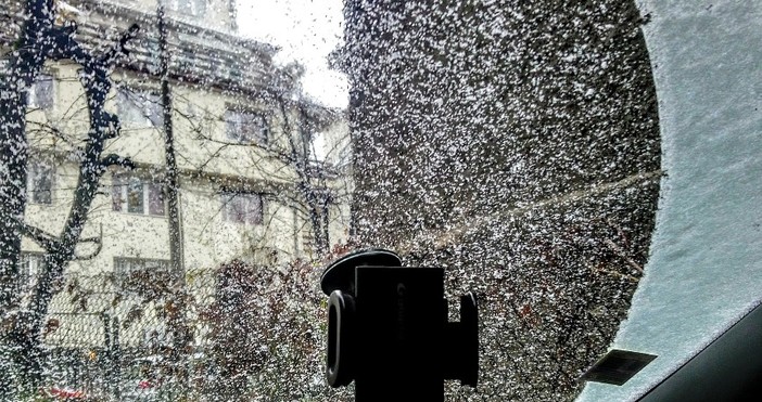 снимки читателЩе има ли изненадани от снега в София Читател