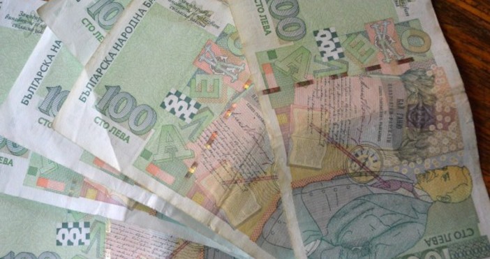 През последните години бюджетите на българските семейства претърпяват значителни метаморфози
