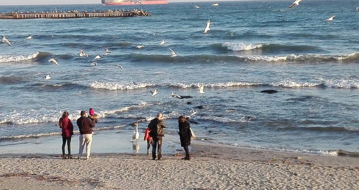 Слънчевите лъчи през декември накараха варненци да излязат край морето Децата
