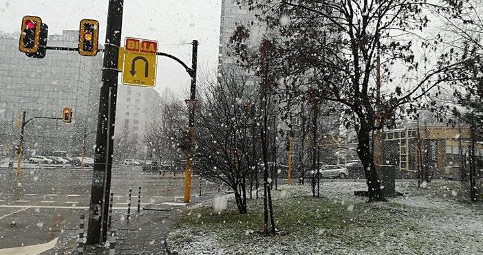 Снимки Петел Поройният дъжд който само час се изливаше в София вече