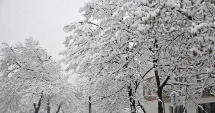 Снимка БулфотоАстрономическата зима започва на 21 декември в 18.28 ч.