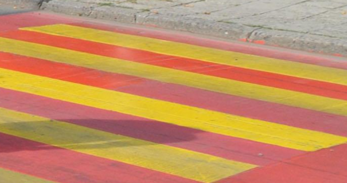 Властите обявиха че започва масирана проверка на всички зебри у