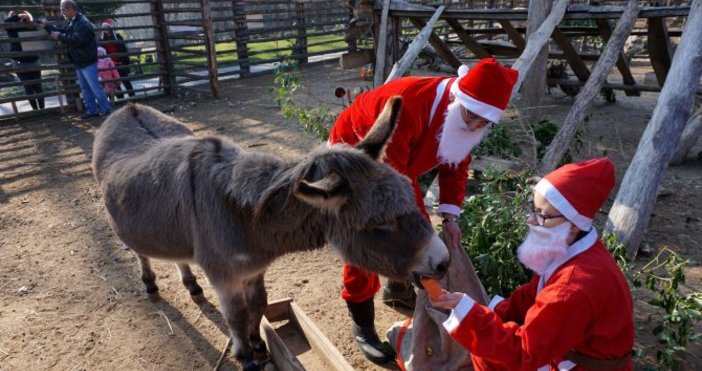 Снимка БулфотоПразнично тържество с Дядо Коледа който ще раздава лакомства