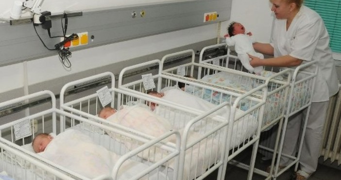 Снимка БулфотоРаждаемостта у нас продължава да намалява а българките се