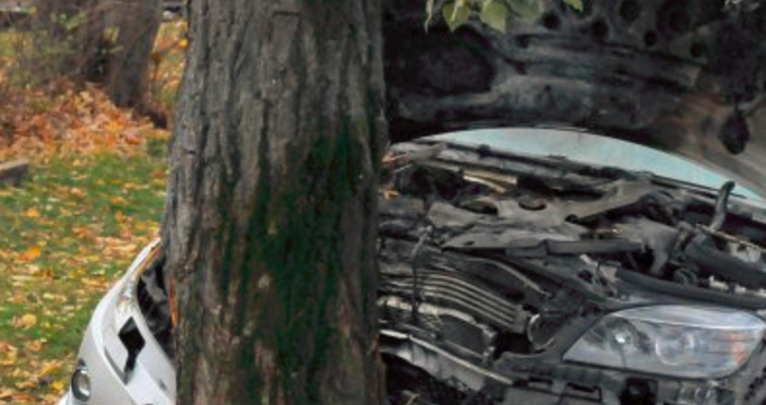 Снимка Булфото21-годишен младеж се заби опела си в крайпътно дърво