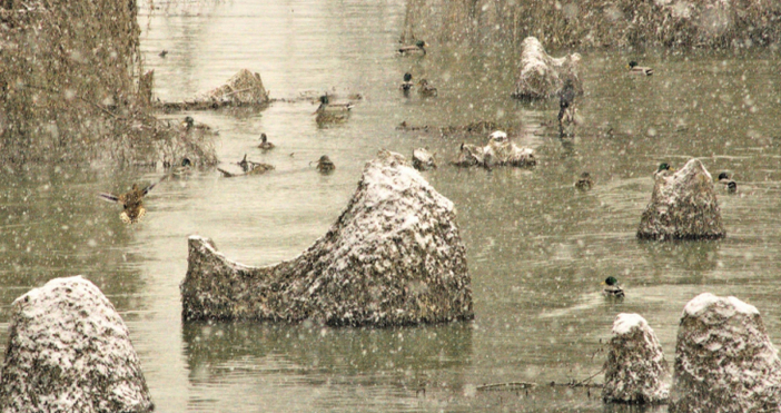 Снимки Булфото Причудливи форми сякаш излезли изпод ръката на творец създаде