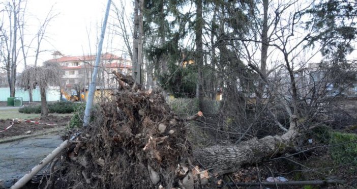 Снимка Булфото архив Община Баните също обяви бедствено положение заради пораженията