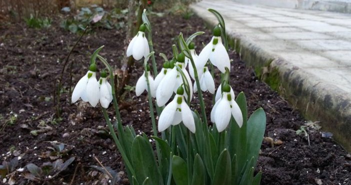 Снимка Булфото архивПрогнозата за времето през февруари 2018 година ще