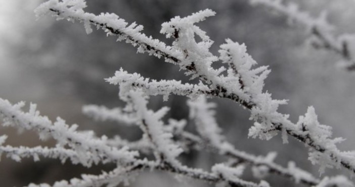 В следващите дни дневните температурите ще се покачват но сутрешните