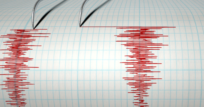Земетресение с магнитуд 2 2 по Рихтер е регистрирано тази
