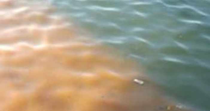 Странна течност замърси водата край бургаската Морска гара За оранжевеещата