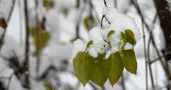 Булфото архивПредимно слънчево ще бъде времето днес съобщават от Националния