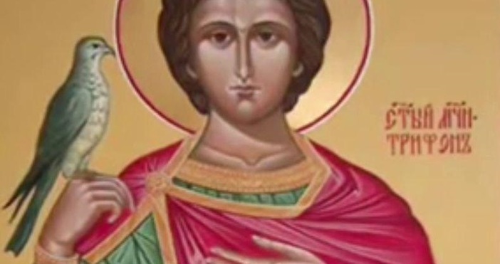 На днешния ден църквата почита мъченик Трифон славен като светец