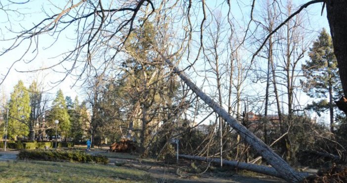 Илюстрация БулфотоЖълт код за валежи бурен вятър е обявен в