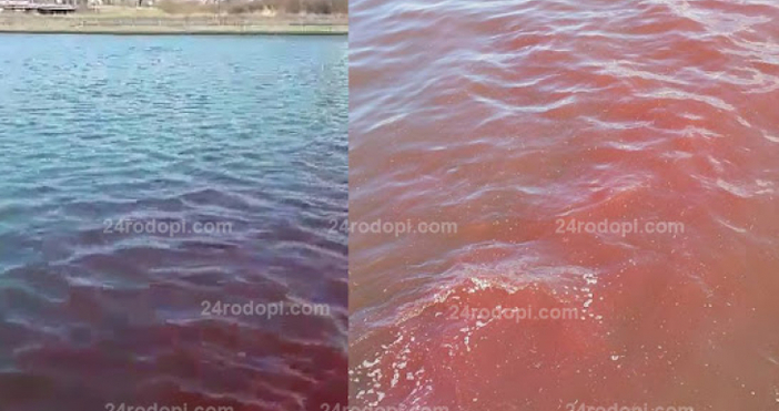 Снимка 24rodopi com Тонове кръв се изливат във Водното огледало алармираха ужасени жители