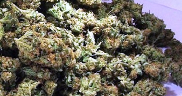 Продажбата на марихуана задмина алкохола в град в американския щат Колорадо