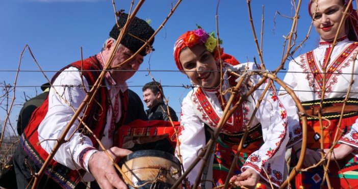 На 14 февруари по стара българска традиция честваме Трифон Зарезан – денят
