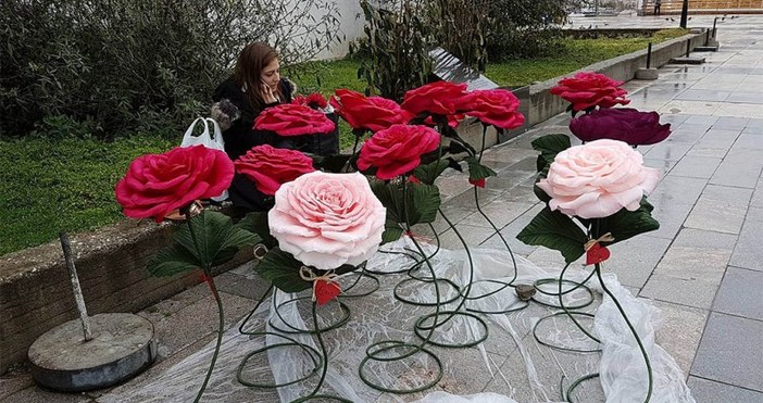 Снимка plovdivtime bgГигантски бели и червени рози цъфнаха пред Централната поща