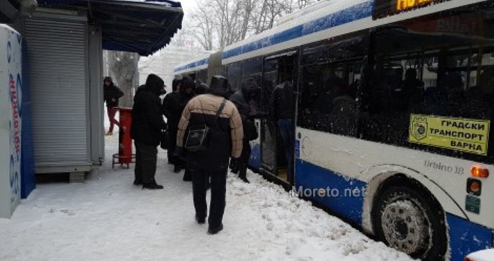 Снимка Moreto netВсички линии на Градския транспорт във Варна се обслужват