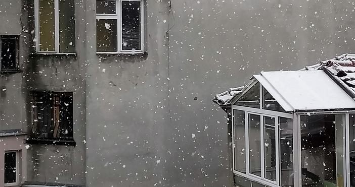  Снимки читатели Петел Varna 24   Обилен сняг на парцали отново се