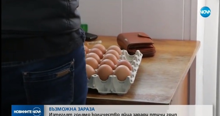 Кадър: Нова твСпешна акция във Варна. Конфискуват хиляди яйца заради птичи