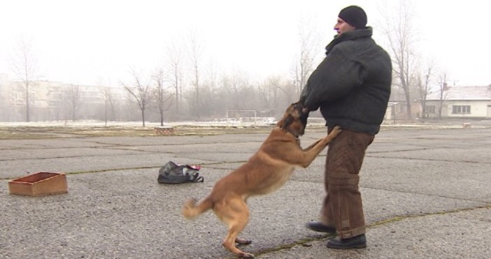 Бтв20 нови полицейски кучета ще гарантират сигурността по границите ни