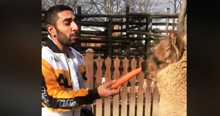 Рапърът 100 кила публикува кадри от посещението си в Зоопарка във