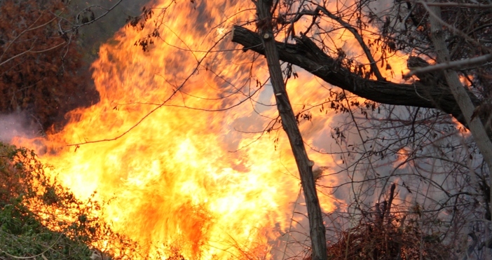 Засилени мерки за осигуряване на пожарна безопасност са предприети в горските