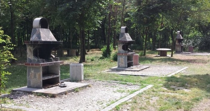 Има хвърлена отрова за животни в парк Лаута в Пловдив