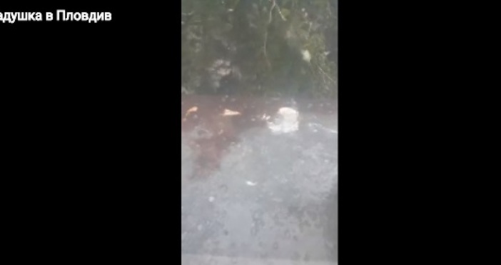 Градушка удари югозападните части на България Будни граждани съобщиха за гръмотевици